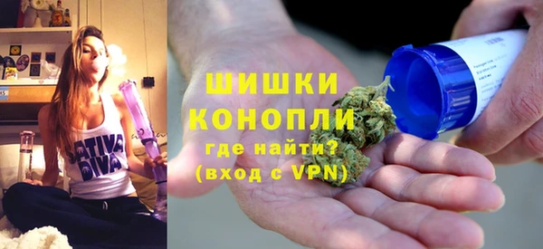 стаф Аркадак