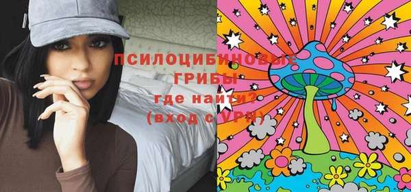 стаф Аркадак